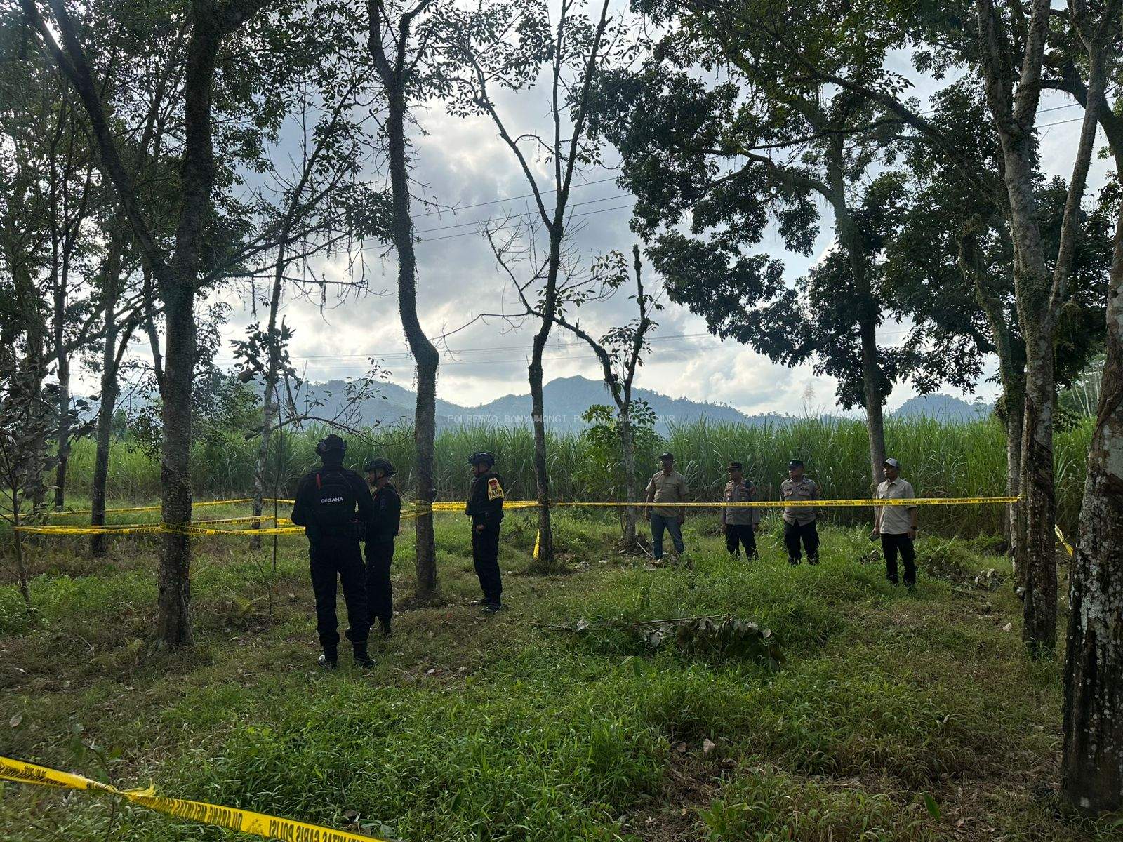 Geger Penemuan Granat: Aksi Berani Personel Polri Jinakkan Granat Jaga Keamanan Warga Banyuwangi